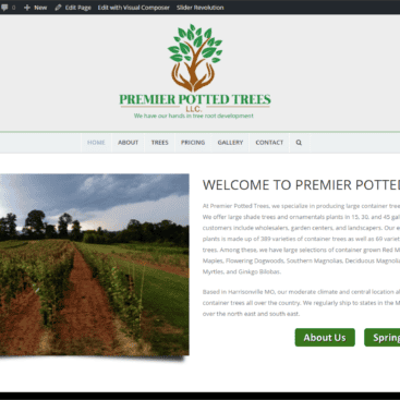 Potted trees for sale at Premier Potted Trees in Kansas City.