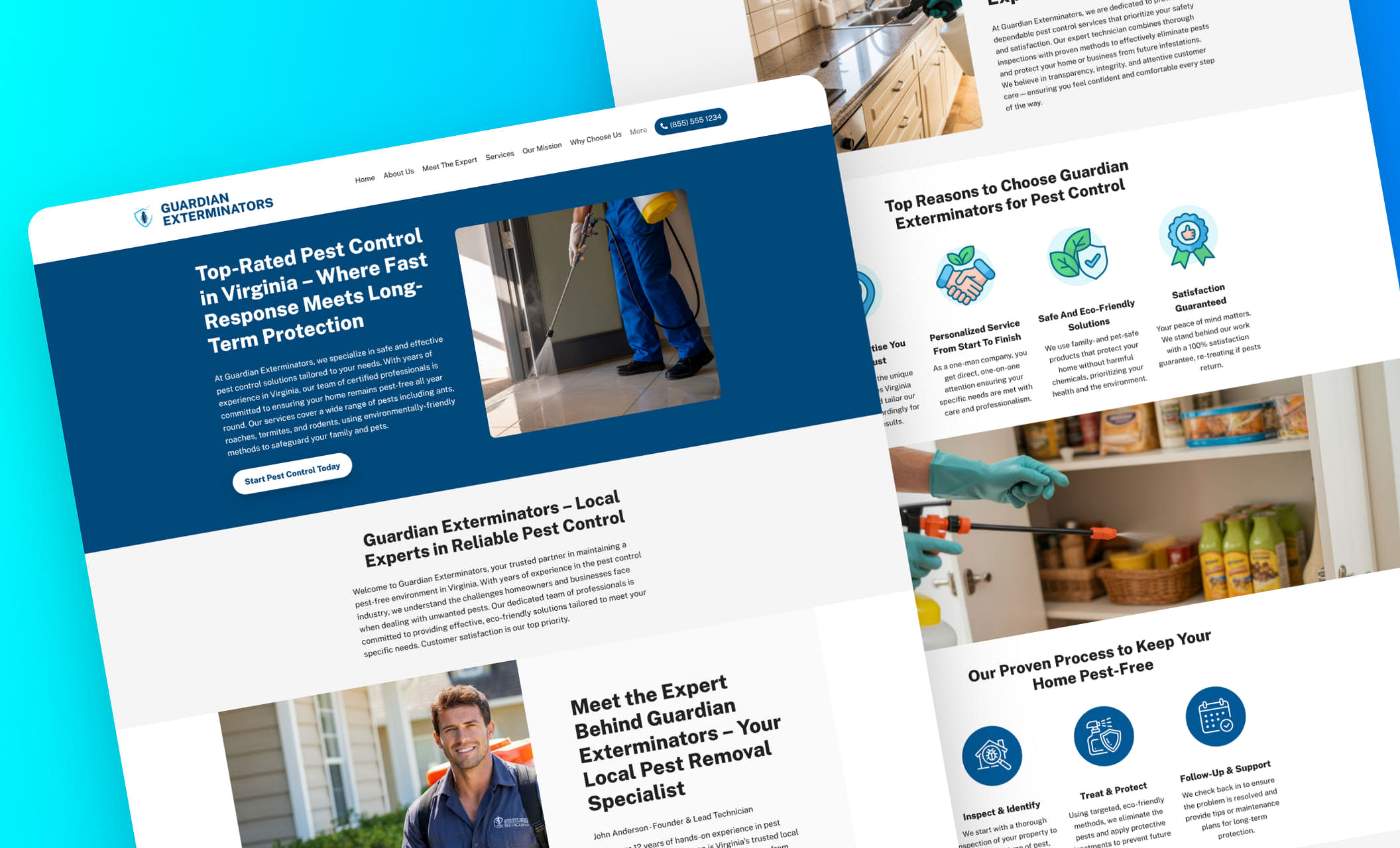 pest control web design 2 pest control web design