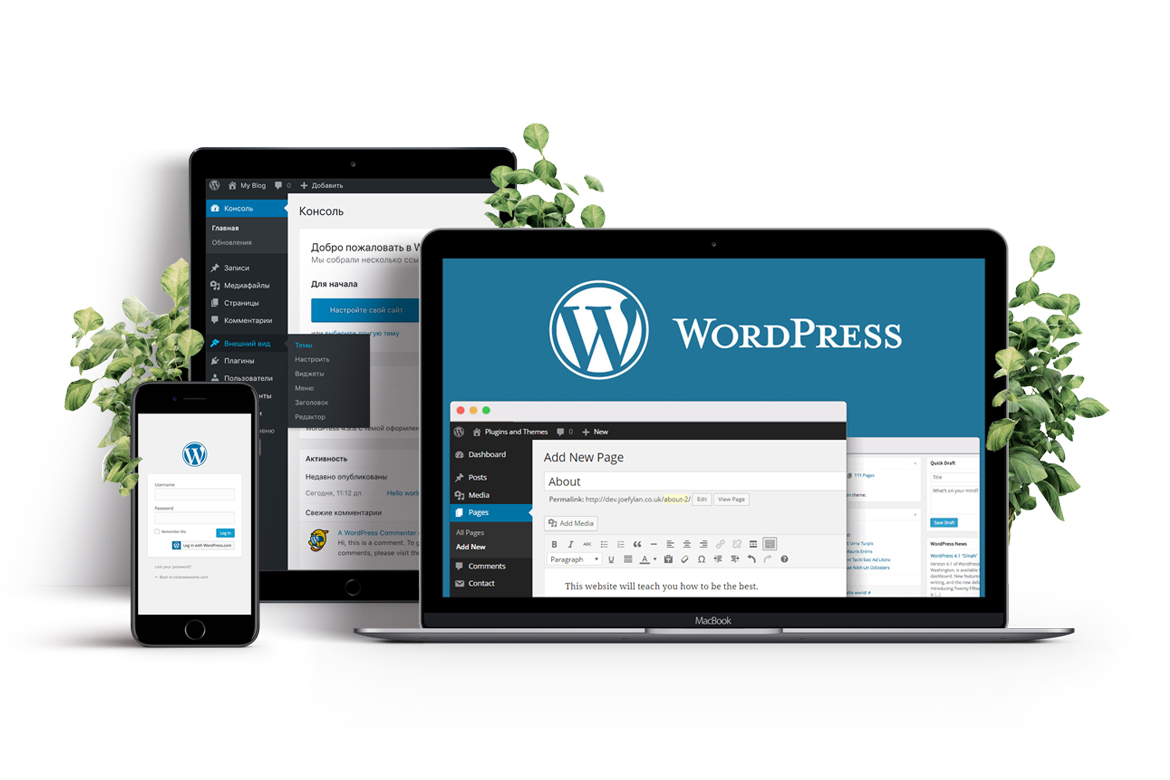 WordPress Web Design & WooCommerce Development 7 WordPress Web Design & WooCommerce Development