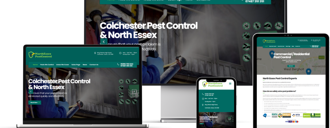 Professional Web Design & SEO Help Pest Control