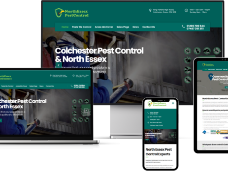 Professional Web Design & SEO Help Pest Control