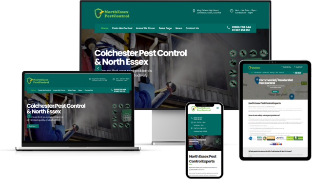 Professional Web Design & SEO Help Pest Control