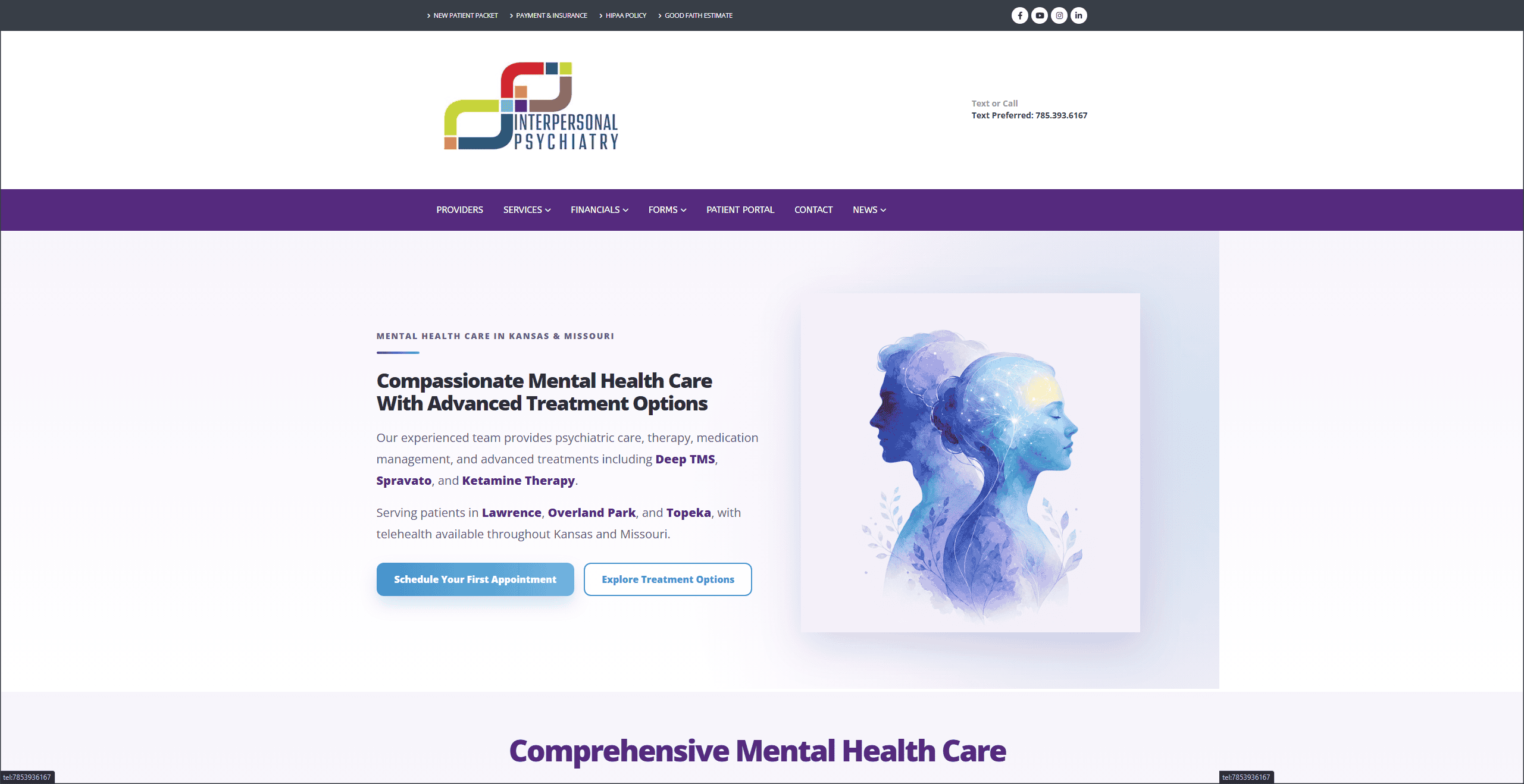 Interpersonal Psychiatry homepage website design by OHS Publishing