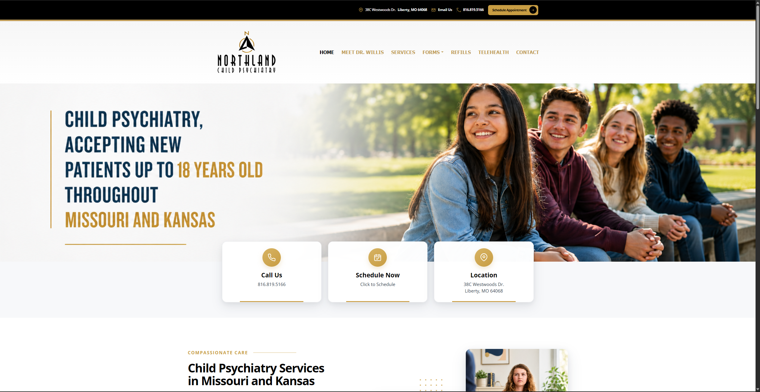 Northland Child Psychiatry homepage website design by OHS Publishing